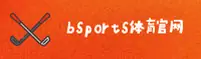 bsports官网(BSportsCOM)入口